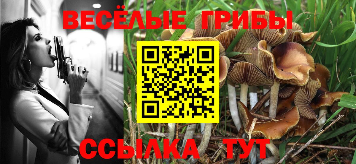 Псилоцибиновые грибы Psilocybine cubensis Белореченск